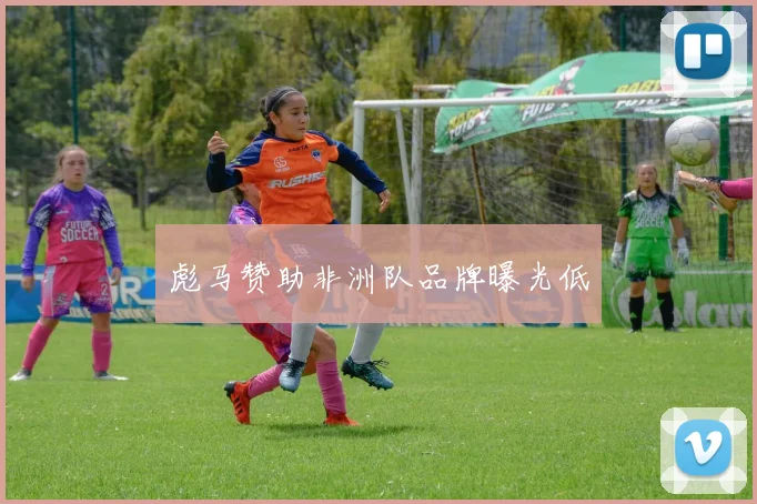 彪马赞助非洲队品牌曝光低