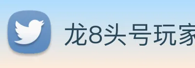 龙8头号玩家 Logo